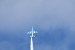 Dcim18222/DSC_3869