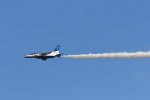 Dcim18222/DSC_3917