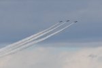 Dcim18223/DSC_3934