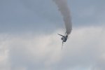 Dcim18223/DSC_3944