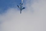 Dcim18223/DSC_3949