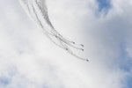 Dcim18223/DSC_3981