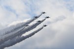 Dcim18223/DSC_4042