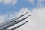 Dcim18223/DSC_4048