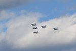 Dcim18224/DSC_4065