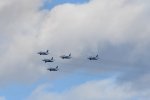 Dcim18224/DSC_4067