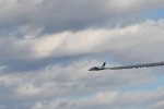 Dcim18224/DSC_4081