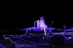 Dcim18224/DSC_4167