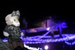 Dcim18225/DSC_4232