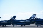 Dcim18228/DSC_3359