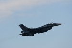 Dcim18229/DSC_4309