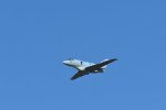 Dcim18229/DSC_4392