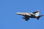 Dcim18229/DSC_4406