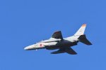 Dcim18229/DSC_4408
