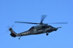 Dcim18230/DSC_4447