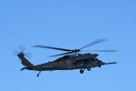 Dcim18230/DSC_4451