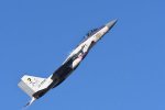Dcim18230/DSC_4473