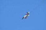 Dcim18230/DSC_4487