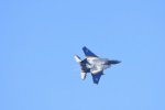 Dcim18230/DSC_4503