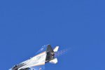 Dcim18230/DSC_4520