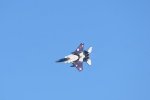 Dcim18231/DSC_4545