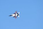 Dcim18231/DSC_4546