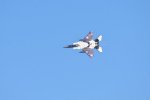 Dcim18231/DSC_4547