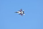 Dcim18231/DSC_4550