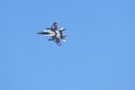 Dcim18231/DSC_4551