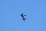 Dcim18231/DSC_4554