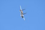 Dcim18231/DSC_4564
