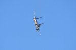 Dcim18231/DSC_4565