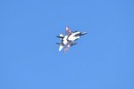 Dcim18231/DSC_4576