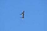 Dcim18231/DSC_4579