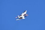 Dcim18231/DSC_4590