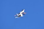 Dcim18231/DSC_4591