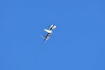 Dcim18231/DSC_4593