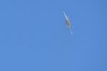Dcim18231/DSC_4595