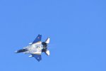 Dcim18231/DSC_4611
