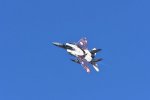 Dcim18231/DSC_4651