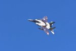 Dcim18231/DSC_4652