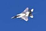 Dcim18232/DSC_4662