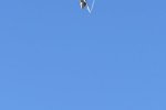 Dcim18232/DSC_4683