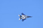 Dcim18232/DSC_4690