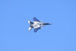 Dcim18232/DSC_4693