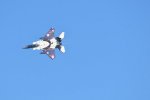 Dcim18232/DSC_4752
