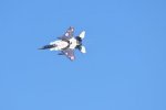 Dcim18232/DSC_4753