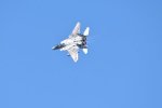 Dcim18232/DSC_4774