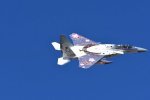 Dcim18233/DSC_4796