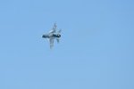 Dcim18234/DSC_4955